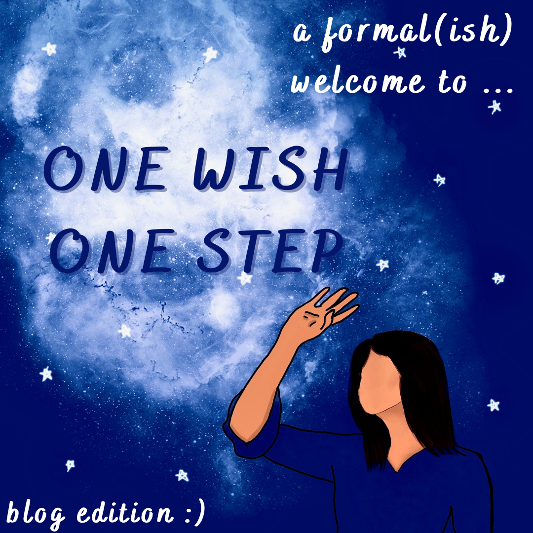 Read more about the article An Intro to One Wish One Step – the blog…